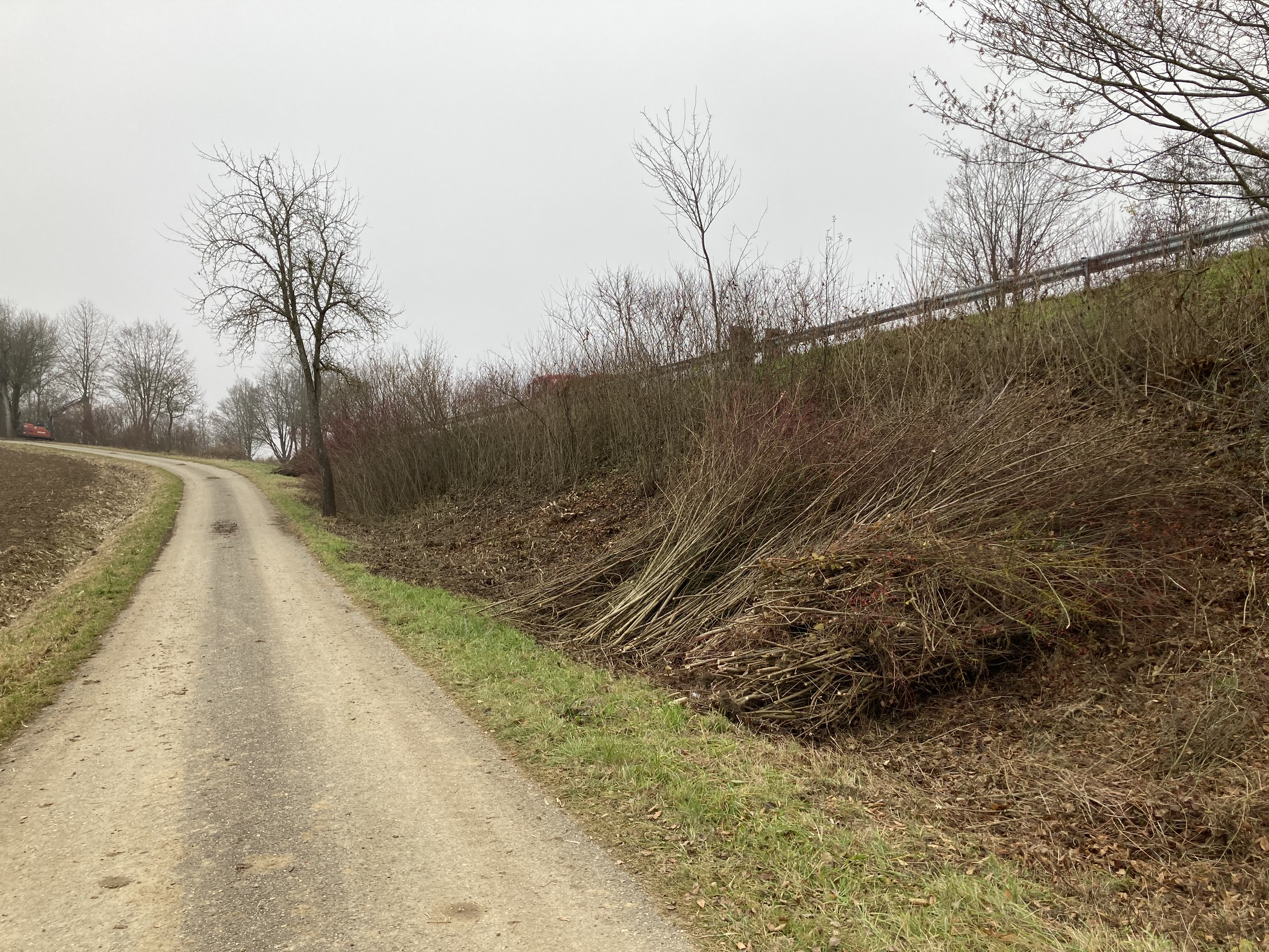 Das Staatliche Bauamt sorgt für verkehrssichere und langfristig alterungsfähige Gehölzbestände an den Bundes- und Staatsstraßen. Das Staatliche Bauamt sorgt für verkehrssichere und langfristig alterungsfähige Gehölzbestände an den Bundes- und Staatsstraßen.