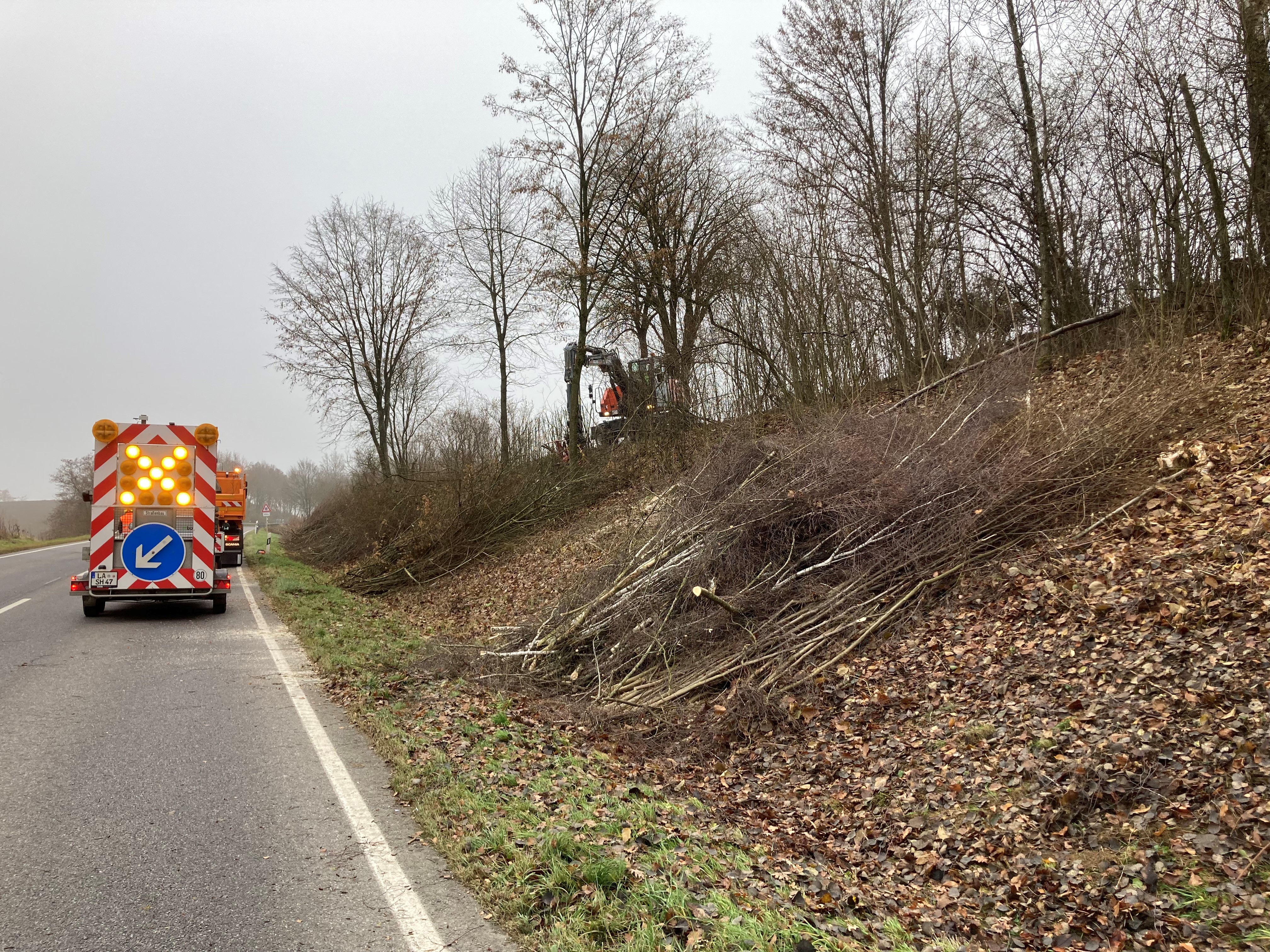 Das Staatliche Bauamt sorgt für verkehrssichere und langfristig alterungsfähige Gehölzbestände an den Bundes- und Staatsstraßen. Das Staatliche Bauamt sorgt für verkehrssichere und langfristig alterungsfähige Gehölzbestände an den Bundes- und Staatsstraßen.
