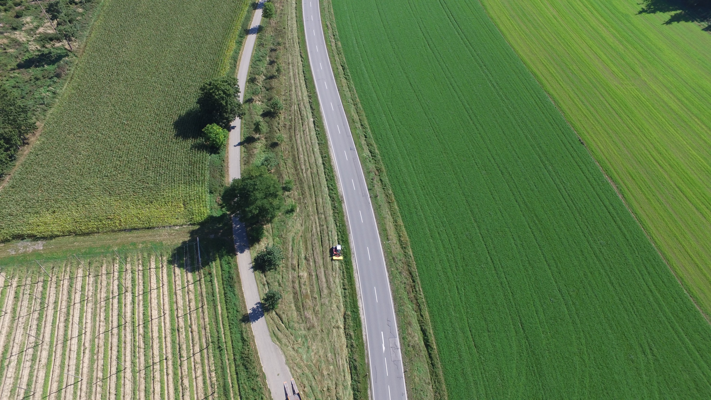 Das Staatliche Bauamt Landshut setzt auf ein neues ökologisches Mähkonzept – wie hier an der St 2143 südlich von Rottenburg a. d. Laaber. Das Staatliche Bauamt Landshut setzt auf ein neues ökologisches Mähkonzept – wie hier an der St 2143 südlich von Rottenburg a. d. Laaber.