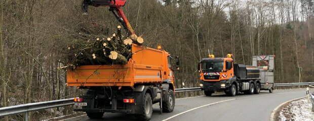 Kommende Woche fällt das Staatliche Bauamt Landshut schadhafte Bäume. Da-her müssen betroffene Straßenabschnitte stundenweise gesperrt werden.