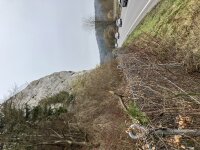 eingewachsener Steinschlagschutzzaun an der B 16 Höhe Teufelsfelsen
