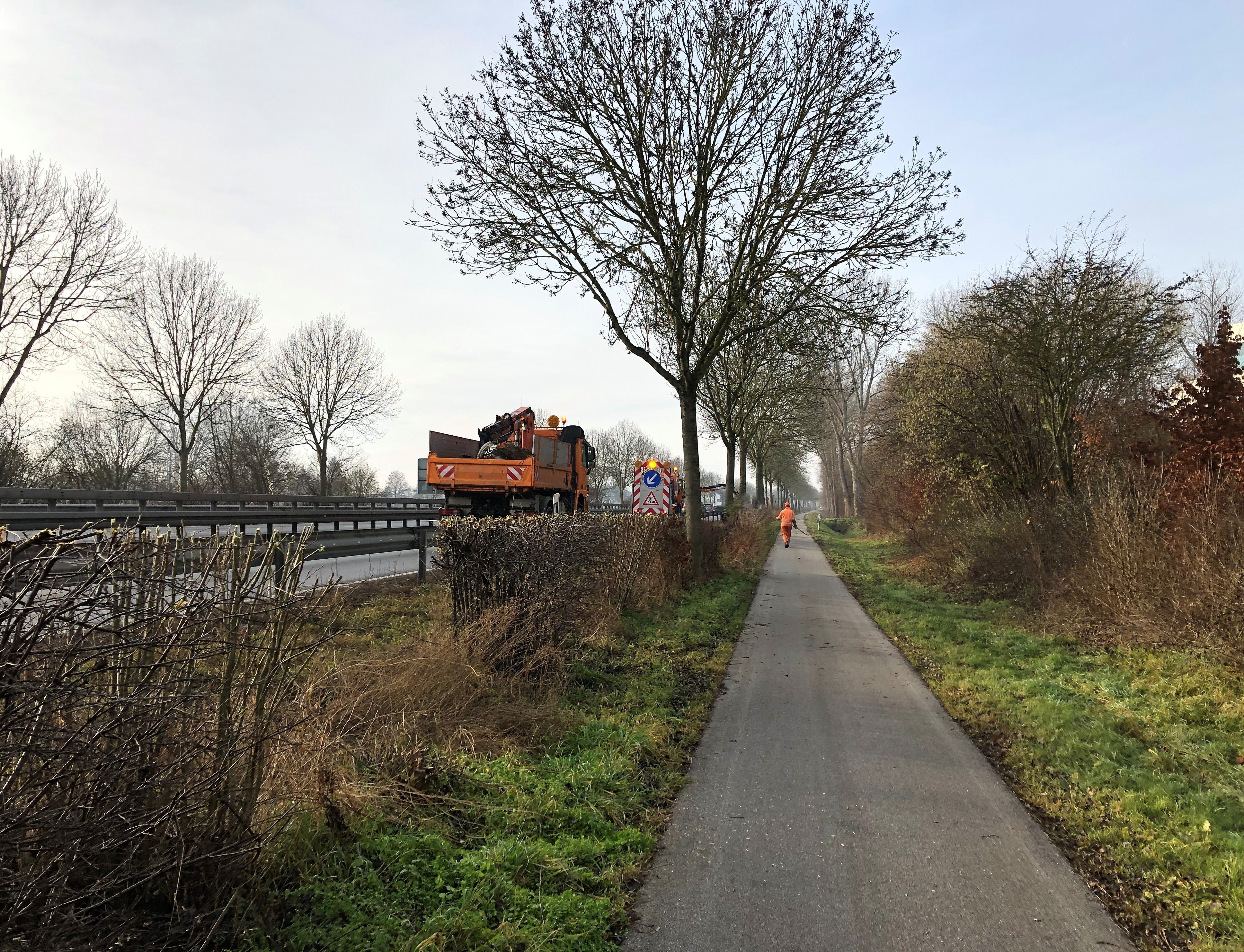 Die Pflege sorgt für verkehrssichere und langfristig alterungsfähige Gehölzbestände an den Bundes- und Staatsstraßen. Die Pflege sorgt für verkehrssichere und langfristig alterungsfähige Gehölzbestände an den Bundes- und Staatsstraßen.