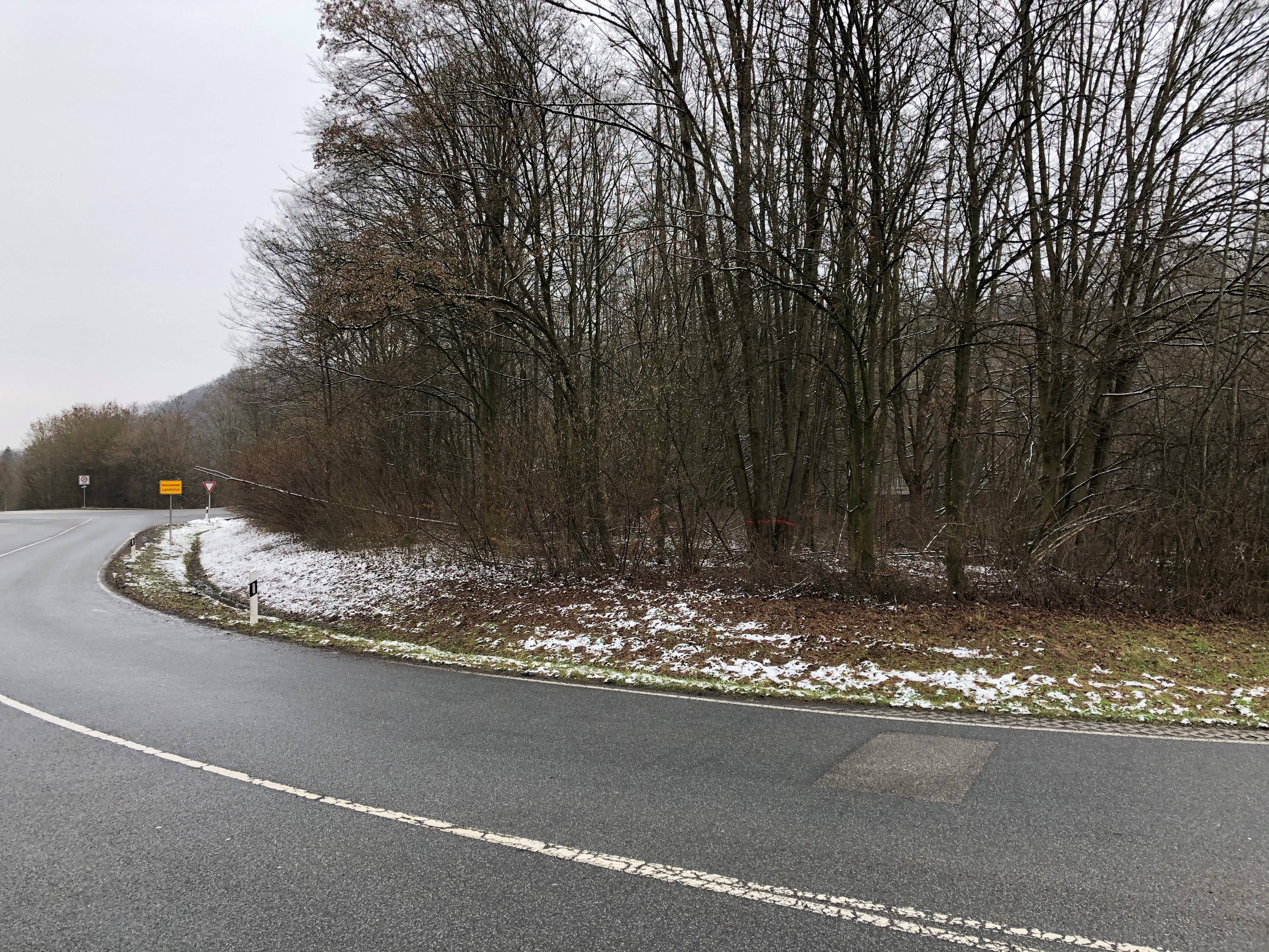 Entlang der B 299 entfernt das Staatliche Bauamt Landshut kommende Woche kranke, abgestorbene oder umgestürzte Bäume.