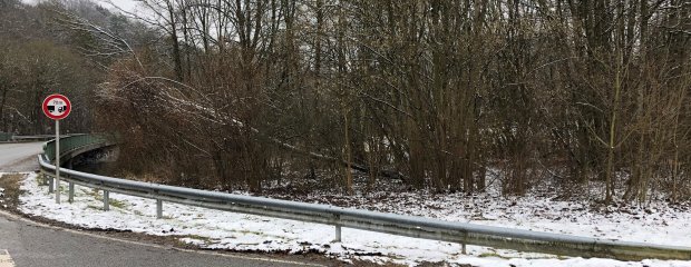 Entlang der B 299 entfernt das Staatliche Bauamt Landshut kommende Woche kranke, abgestorbene oder umgestürzte Bäume. Entlang der B 299 entfernt das Staatliche Bauamt Landshut kommende Woche kranke, abgestorbene oder umgestürzte Bäume.